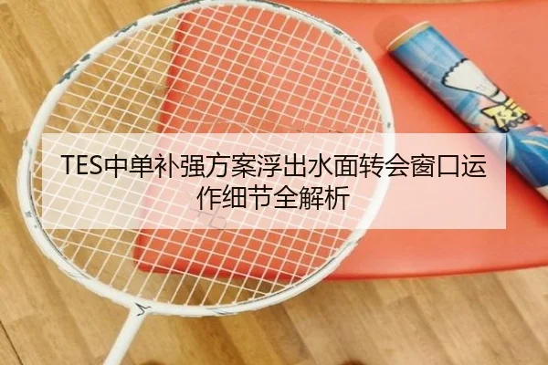 TES中单补强方案浮出水面转会窗口运作细节全解析（QIANYISPORTS）